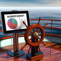 why should a business have a budget